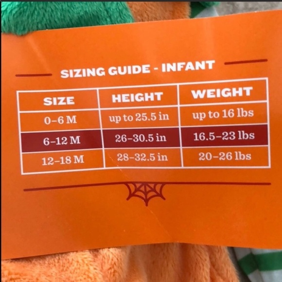 Pumpkin Costume NWT - Picture 4 of 5